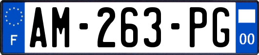 AM-263-PG