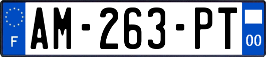 AM-263-PT