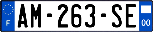 AM-263-SE