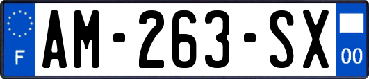 AM-263-SX