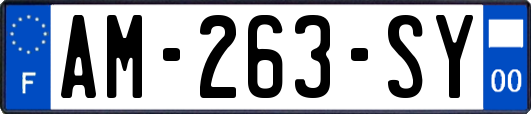 AM-263-SY