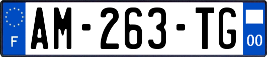 AM-263-TG