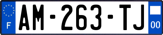 AM-263-TJ