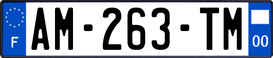 AM-263-TM