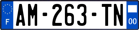 AM-263-TN