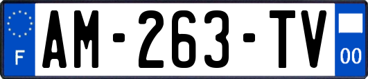 AM-263-TV