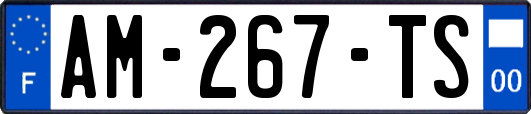 AM-267-TS