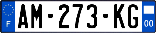 AM-273-KG