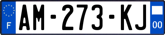 AM-273-KJ