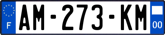 AM-273-KM