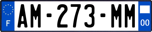 AM-273-MM