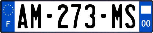 AM-273-MS