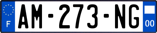 AM-273-NG