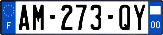 AM-273-QY