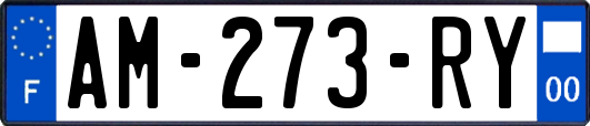 AM-273-RY