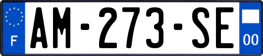 AM-273-SE