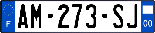 AM-273-SJ