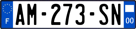 AM-273-SN