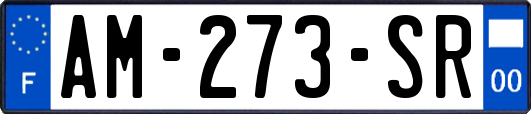 AM-273-SR