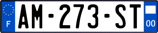AM-273-ST