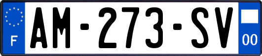 AM-273-SV