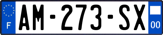 AM-273-SX
