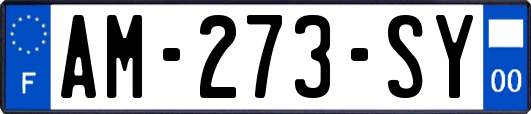 AM-273-SY