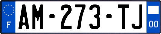 AM-273-TJ