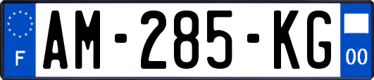 AM-285-KG