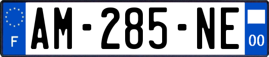 AM-285-NE