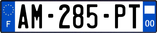 AM-285-PT