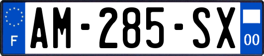 AM-285-SX