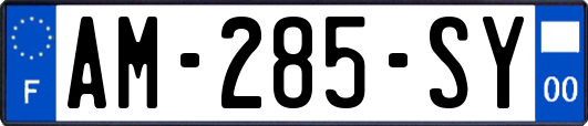 AM-285-SY