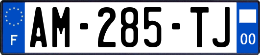 AM-285-TJ