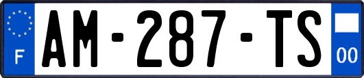 AM-287-TS