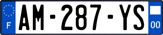 AM-287-YS