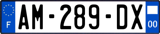 AM-289-DX
