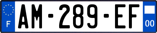 AM-289-EF