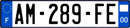 AM-289-FE
