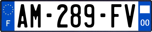 AM-289-FV