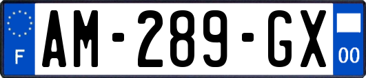AM-289-GX