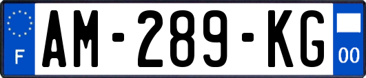 AM-289-KG