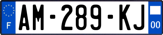 AM-289-KJ