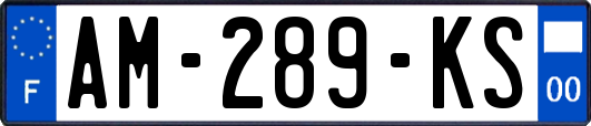 AM-289-KS