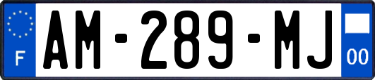 AM-289-MJ