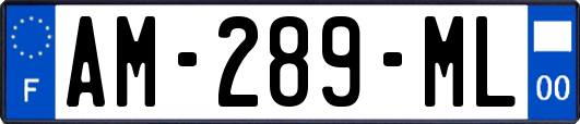 AM-289-ML