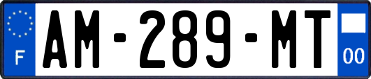 AM-289-MT