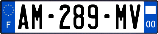 AM-289-MV