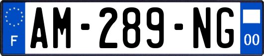 AM-289-NG