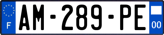AM-289-PE